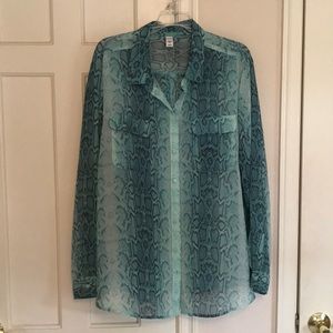 Turquoise button down collared shirt